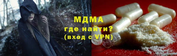 стаф Аркадак