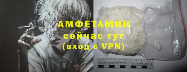 сатива Арсеньев