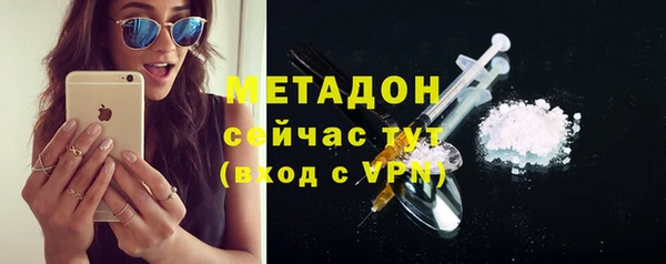 стаф Аркадак