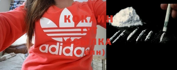 сатива Арсеньев