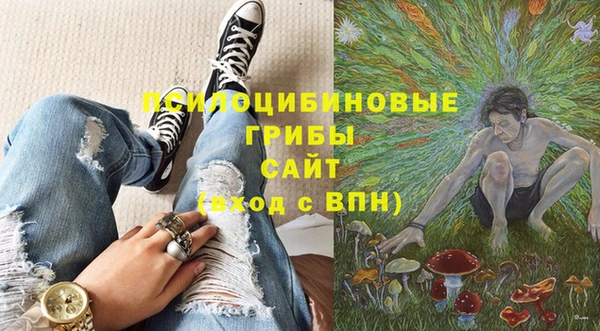 стаф Аркадак