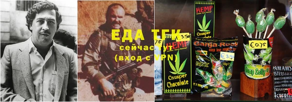 стаф Аркадак
