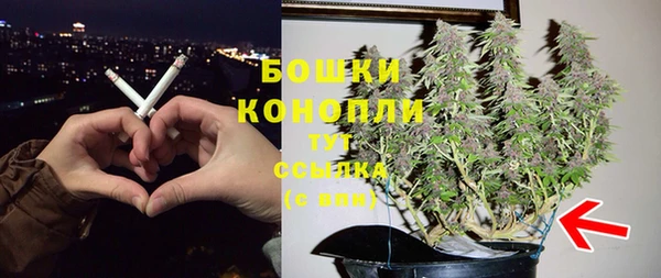 сатива Арсеньев