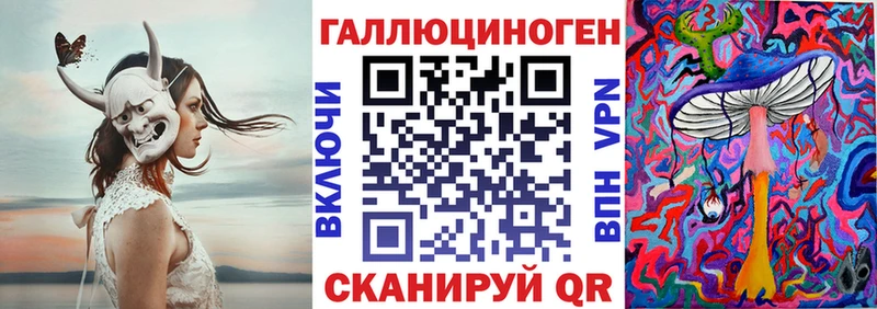 Галлюциногенные грибы Psilocybine cubensis  где найти   Струнино 
