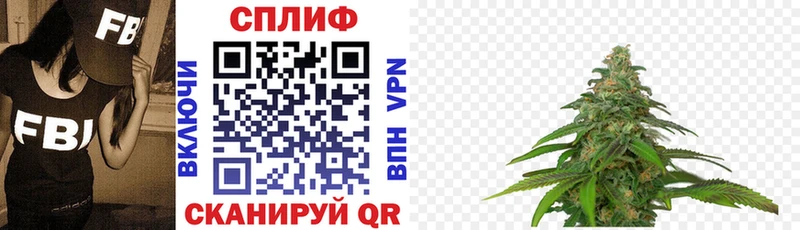 Конопля индика  Струнино 